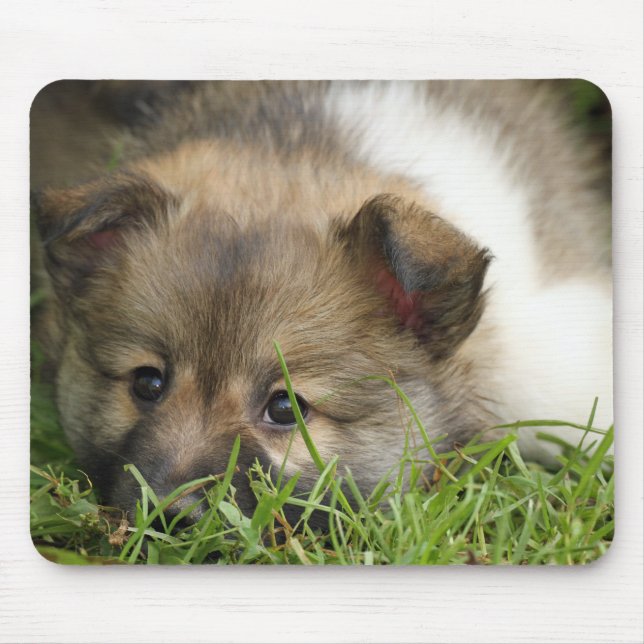 Mousepad Islandhundewelpe (Frente)