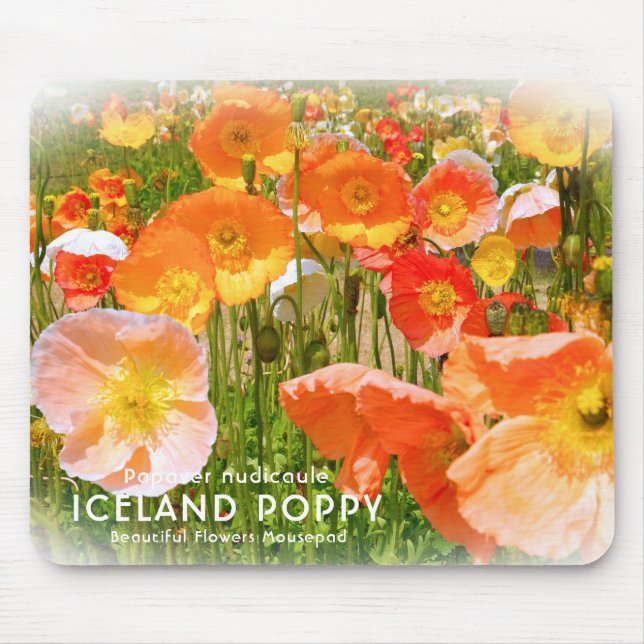 Mousepad Islândia Poppy (Frente)