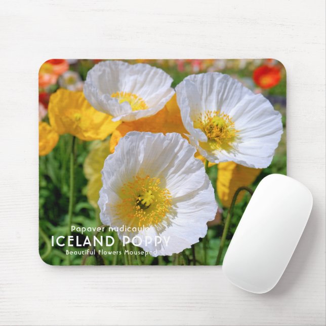 Mousepad Islândia Poppy (Com mouse)