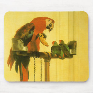 Mousepad Islay, Tilco, Macaw and Love Birds de Landseer