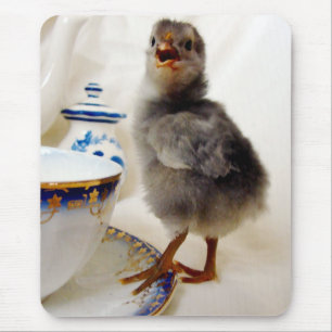 Mousepad "Isto não faz parte do meu contrato", diz o pintin