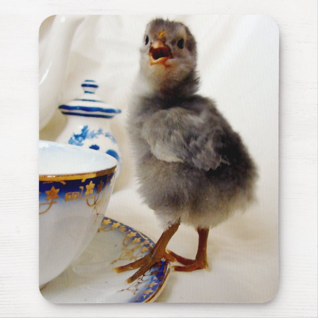 Mousepad "Isto não faz parte do meu contrato", diz o pintin (Frente)