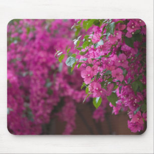 Mousepad Itália, Sicília, Cefalu, Pátio Florido por