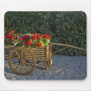 Mousepad Itália, Toscana. Gerânios vermelhos escorrem de um