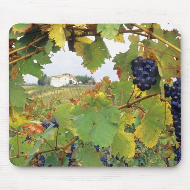 Mousepad Itália, Toscânia Farmhouse foi vista através de (Frente)