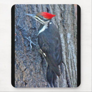 Mousepad Itens Coordenados do Pica-Pau Pileado