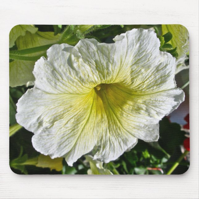 Mousepad Itens de Coordenação da Série Petunia Branca (Frente)