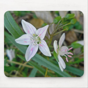 Mousepad Itens de Coordenação de Bela primavera