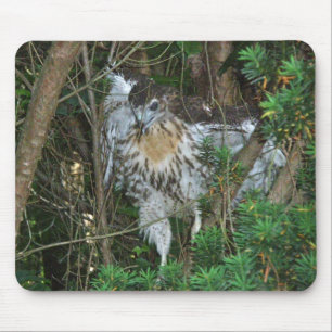 Mousepad Itens de Coordenação de Falcão Vermelhos Imatur