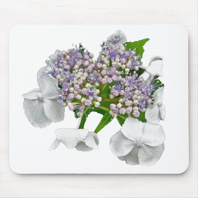 Mousepad Itens de Coordenada de Hydrangea de rendas azuis (Frente)