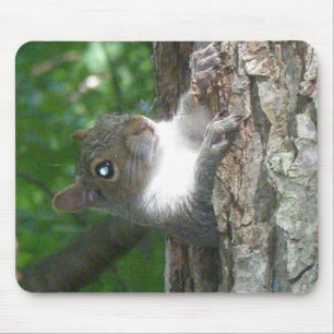 Mousepad Itens de Esquilo de Cinza oriental (Sciurus caroli