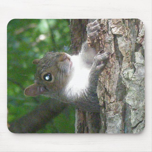 Mousepad Itens de Esquilo de Cinza oriental (Sciurus caroli (Frente)