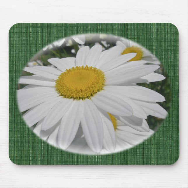 Mousepad Itens Florais De Oxeye Daisy Wildflower (Frente)