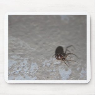 Mousepad Itsy Bitsy Spider