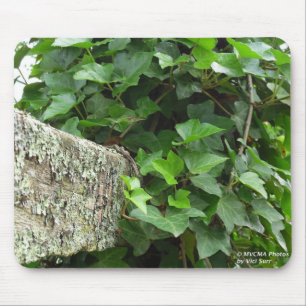 Mousepad Ivy e Lichens - Martha's Vineyard