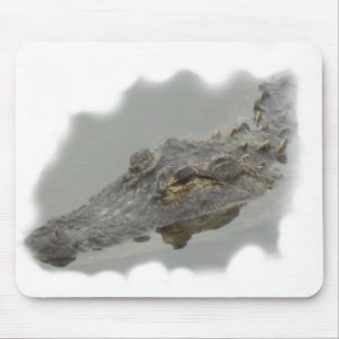 Mousepad jacaré