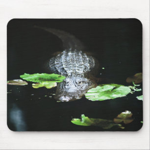 Mousepad Jacaré