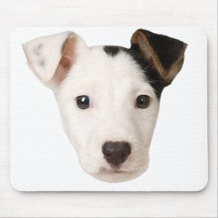 Mousepad Jack Russell Terrier
