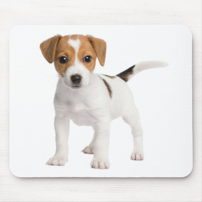 Mousepad Jack Russell Terrier Puppy Brown E Cão Branco (Frente)
