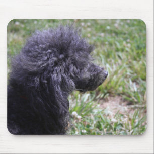 Mousepad Jack T. Caniche