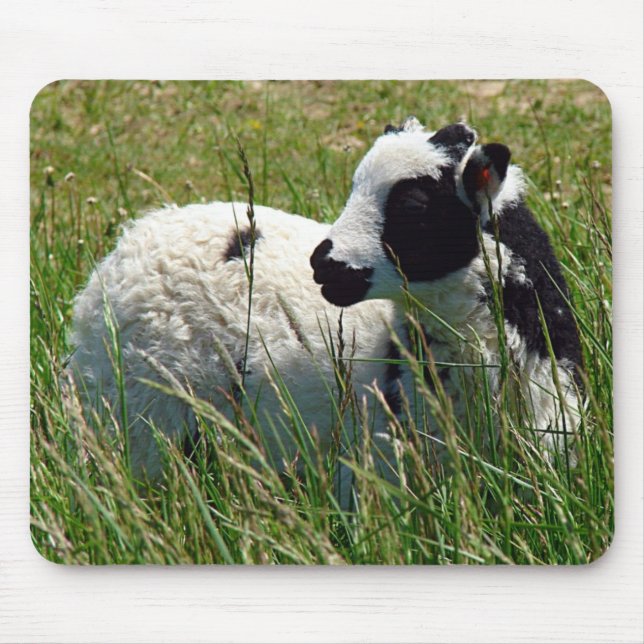 Mousepad Jacob Ram Lamb (Frente)