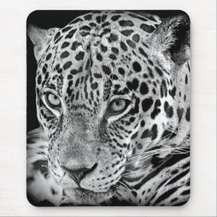 Mousepad Jaguar exótico