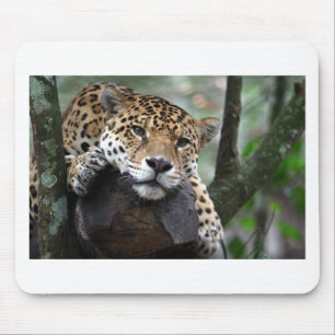 Mousepad Jaguar Sul-Americano