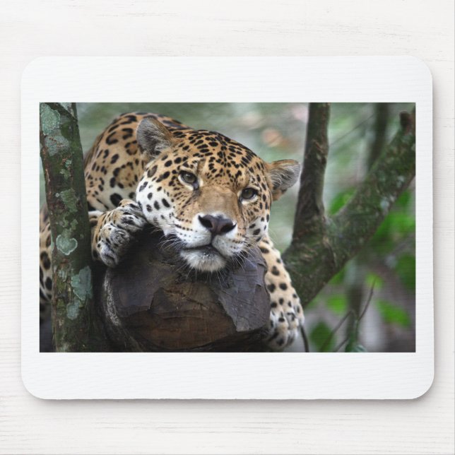 Mousepad Jaguar Sul-Americano (Frente)