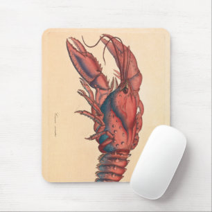 Mousepad James Sowerby Sernotated Lobster
