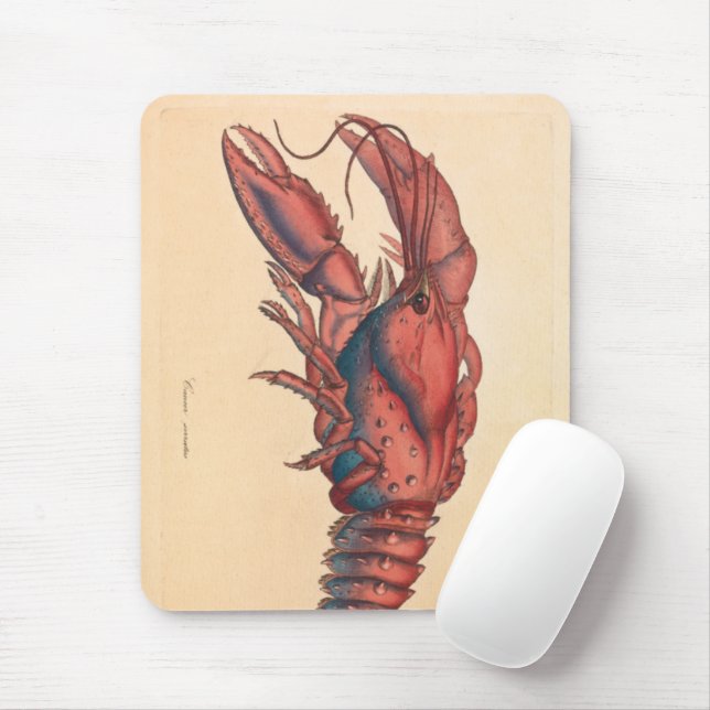Mousepad James Sowerby Sernotated Lobster (Com mouse)