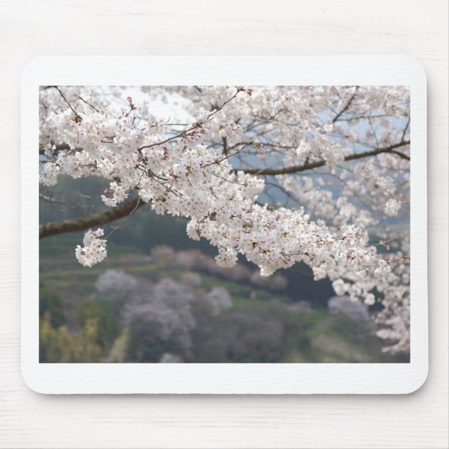 Mousepad Japan Kumamoto Cherry Blossom (Frente)