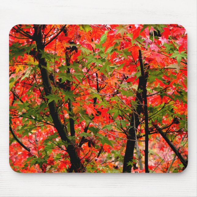 Mousepad Japanese Maples (Frente)
