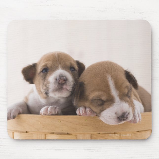 Mousepad Japão (Frente)