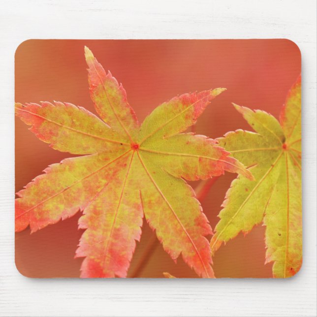 Mousepad Japonês Maple Leaf (Frente)