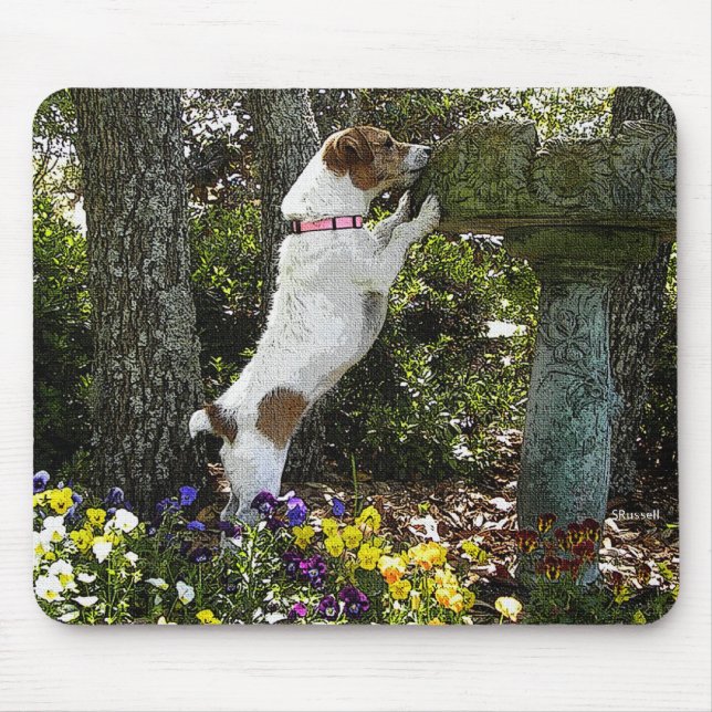 MOUSEPAD JAQUE RUSSELL TERRIER (Frente)