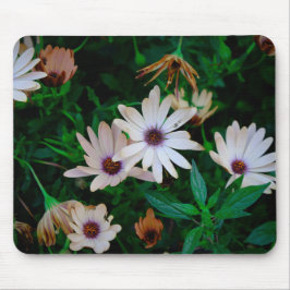 Mousepad Jardim