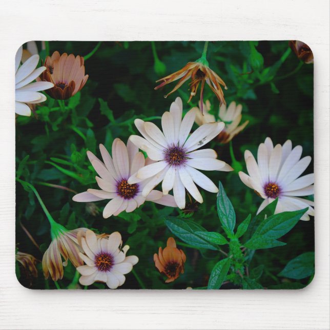Mousepad Jardim (Frente)