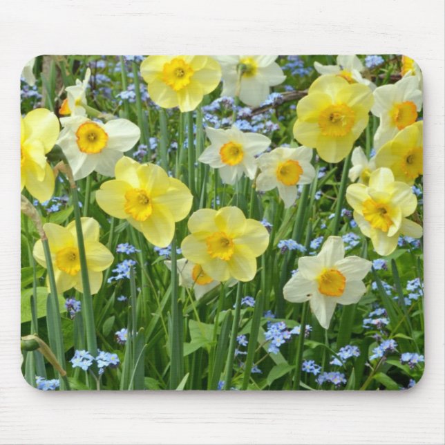 Mousepad Jardim amarelo bonito do daffodil (Frente)