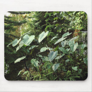 Mousepad Jardim Botânico
