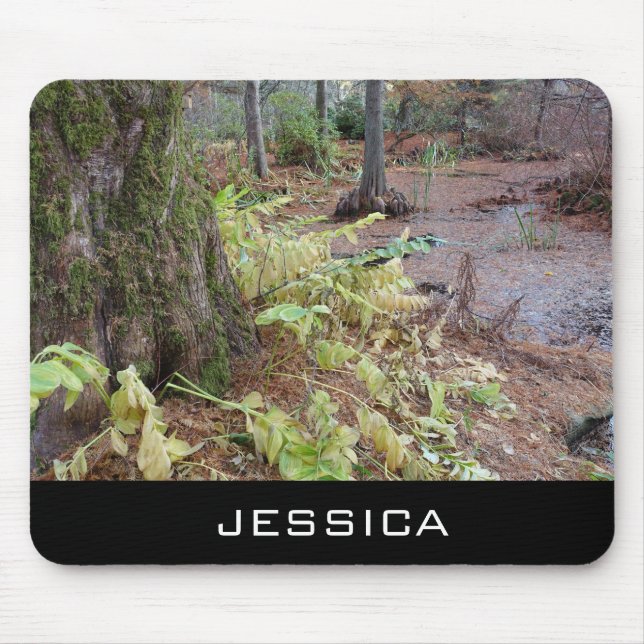 Mousepad Jardim botânico de outono, adicione seu nome (Frente)