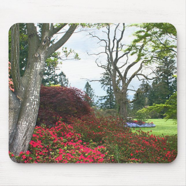 Mousepad Jardim Botânico Van Dusen (Frente)