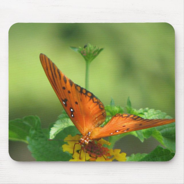 Mousepad Jardim da Borboleta (Frente)