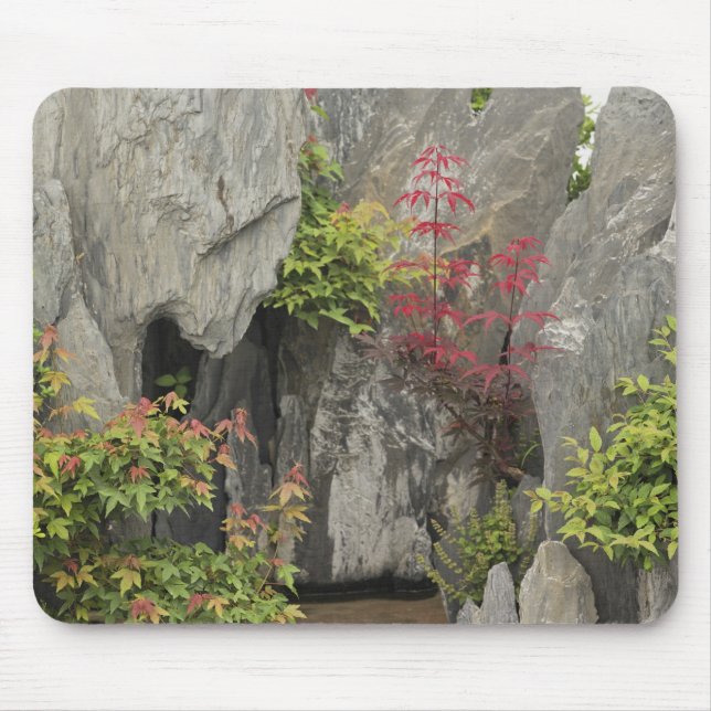 Mousepad Jardim da família de Bao, Huangshan, China. (Frente)