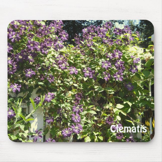 Mousepad Jardim de Clematite Roxa (Frente)