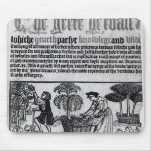 Mousepad Jardim de erva medieval