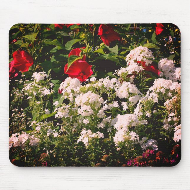 Mousepad Jardim De Flor De Hibisco E Phlox (Frente)