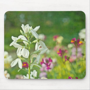 Mousepad Jardim de Fragrância