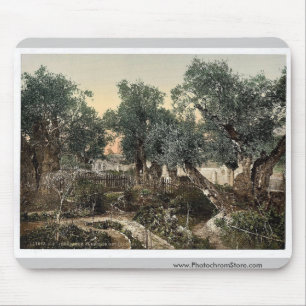 Mousepad Jardim de Gethsemane, Jerusalem, clássico da Terr