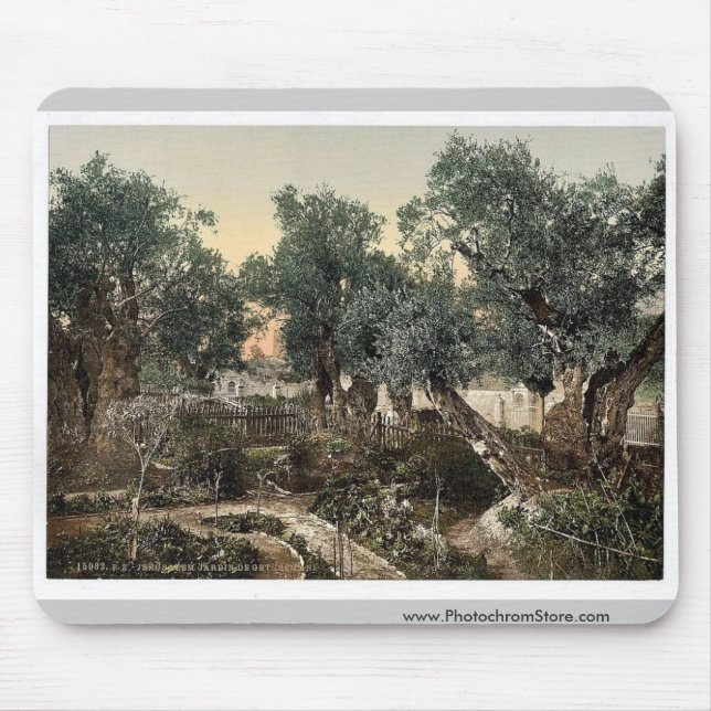 Mousepad Jardim de Gethsemane, Jerusalem, clássico da Terra (Frente)