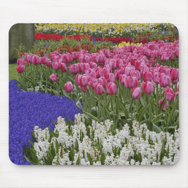 Mousepad Jardim de jacintos de uva, jacintos e tulipas, (Frente)